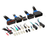 DSP and Add an Amp Harness