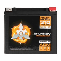 310 Crank AMPS 18AMP Hours AGM Battery