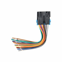 GM 1988-2005 (20-pin, fully terminated)