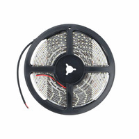 3528 White Light Strip - 5 Meter, 60 LED, Bulk