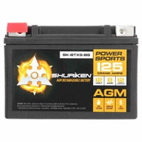125 Crank AMPS / 8AMP Hours AGM Battery