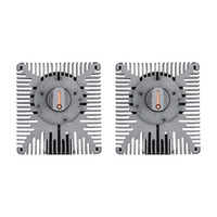D5 HID to LED Conversion Bulb