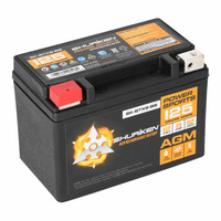 SK-BTX9 Dummy Battery