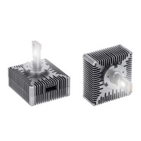 D5 HID to LED Conversion Bulb
