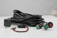 Wiring Harness and Switch Kit - 2 Lamp