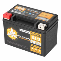 125 Crank AMPS / 8AMP Hours AGM Battery