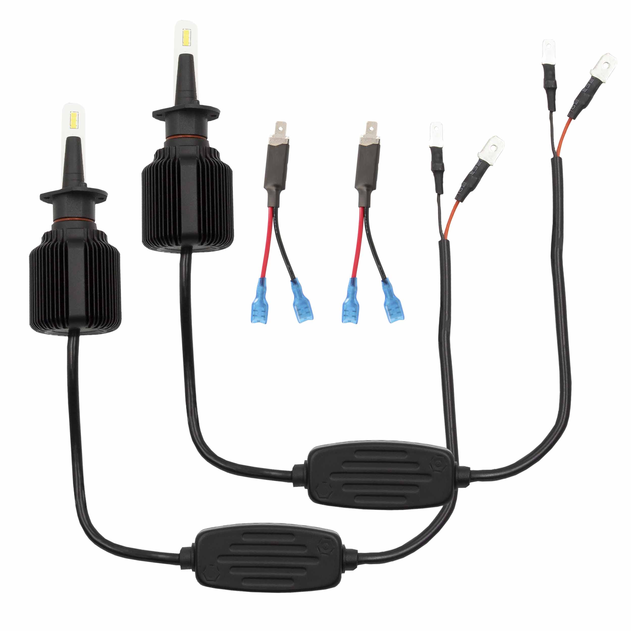 Daytona Lights H1 Replacement Single Beam LED Bulbs - Pair