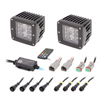 Standard Mount Chasing LED Cube Lights