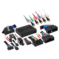 DSP Data Interface - Ford 2011-2023
