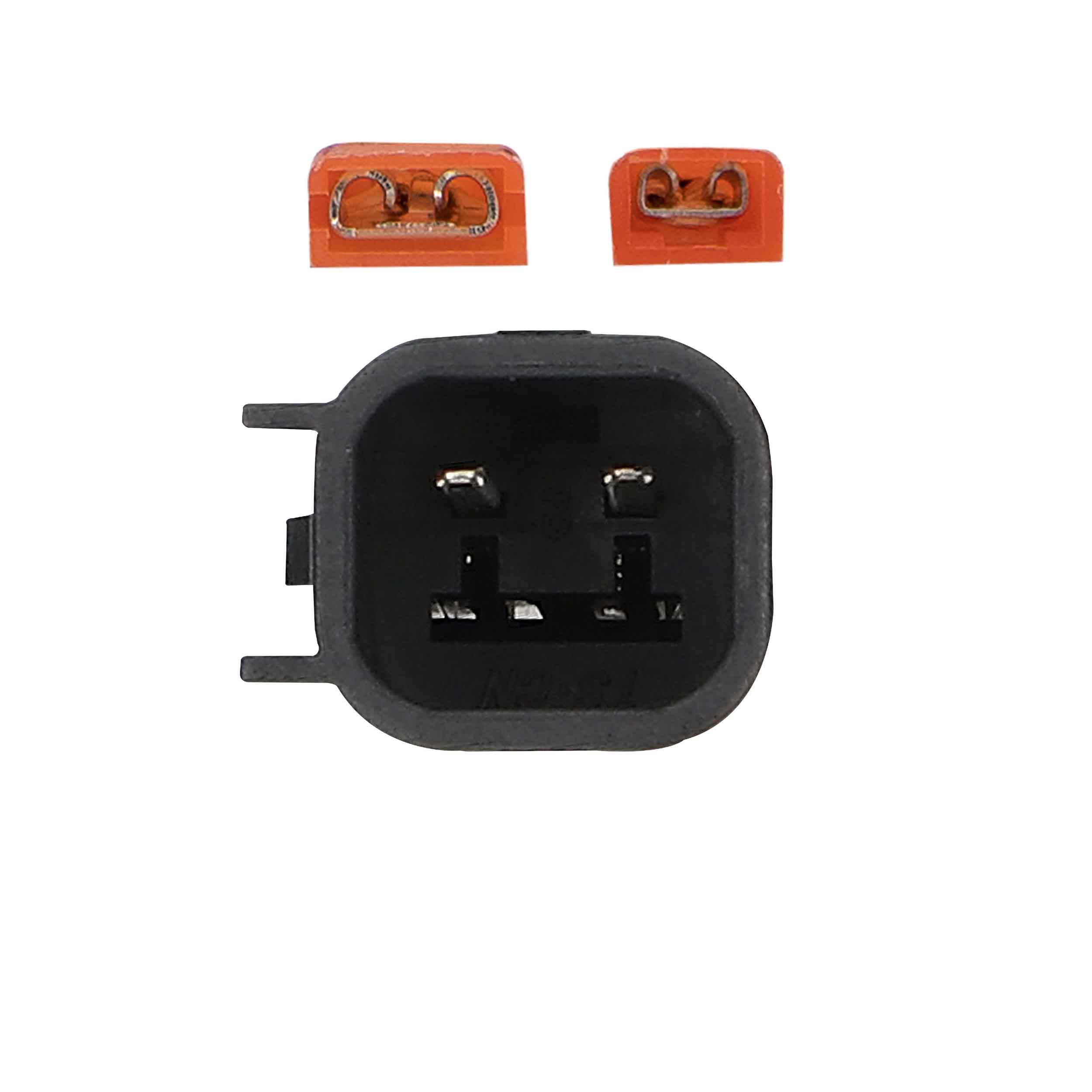 Ford Multi-App 1993-2023