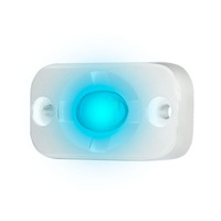 9W BLUE MARINE ACCENT POD