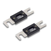 V8 ANL Fuses | 100A | 2 Pack
