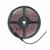 5050 White Light Strip - 5 Meter, 60 LED, Retail