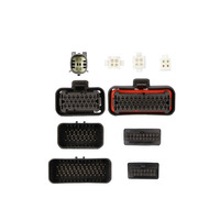 DSP and Add an Amp Harness
