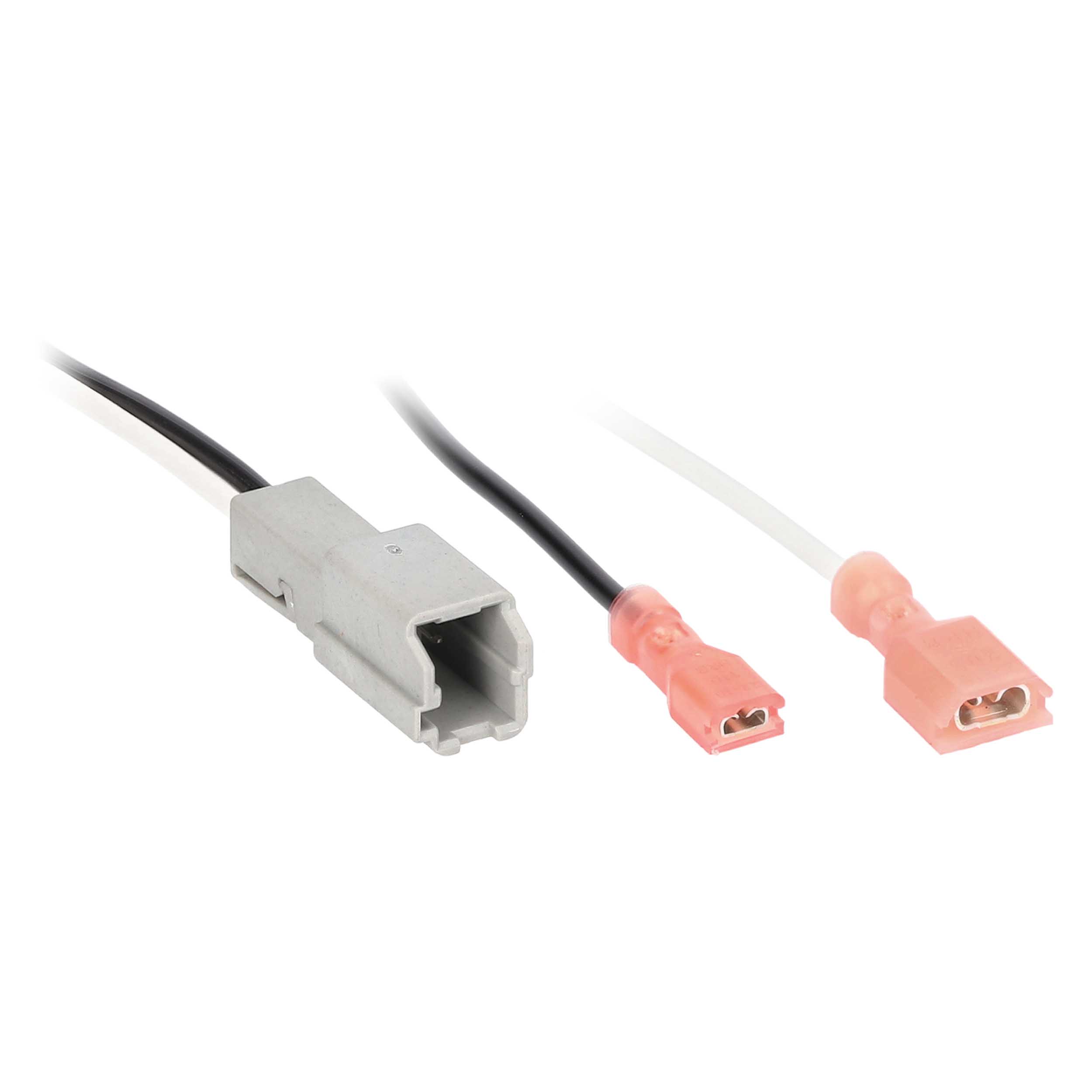 GM 2015-2025 (amplified)