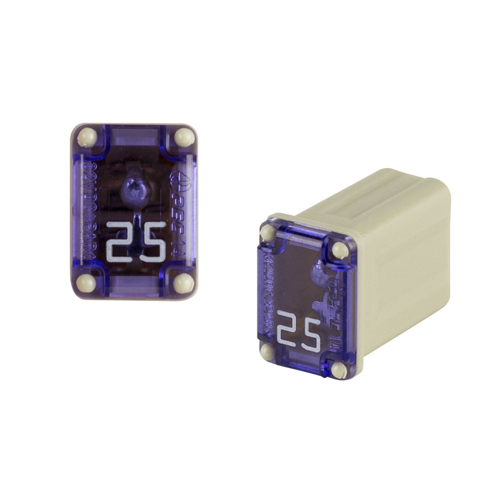 25AMP MICRO FEMALE TIME DELAY FUSE - each