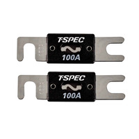 V8 ANL Fuses | 100A | 2 Pack