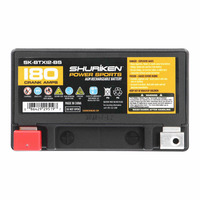 180 Crank AMPS / 10AMP Hours AGM Battery