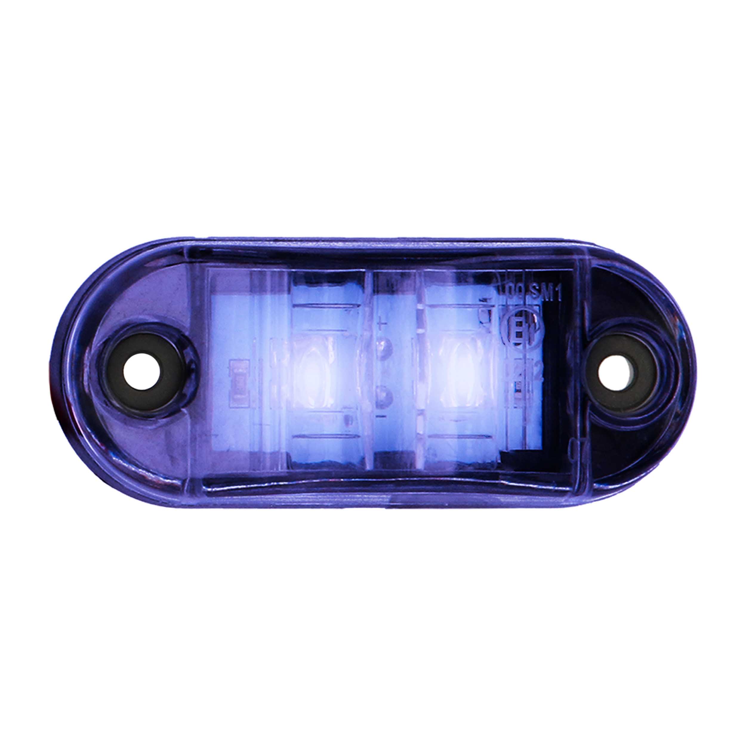 Blue 2-LED Accent Light - Clear Plastic Bezel