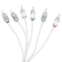 V10 6-Channel RCA Cable | 17 ft.