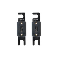100 AMP ANL Fuses Nickel Plated - MID SERIES - 2 PK