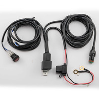 DT Wiring Harness and Switch Kit - 1 Lamp, Universal