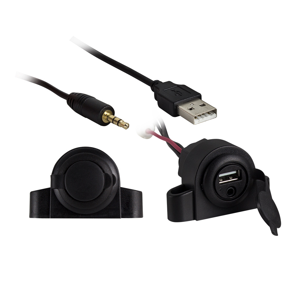 3.5MM AUX Audio Input with USB Charge/Data Ext - Retail Pack
