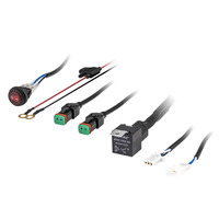 Wiring Harness and Switch Kit - 2 Lamp